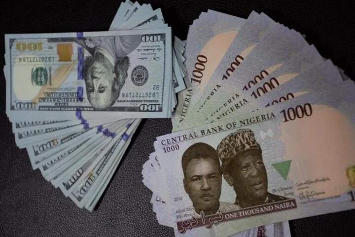 Effects of Exchange Rate Fluctuations on Nigerian Businesses